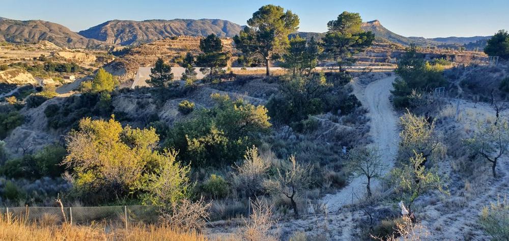 0 bedroom Land in Relleu, Costa Blanca - Property BL7099