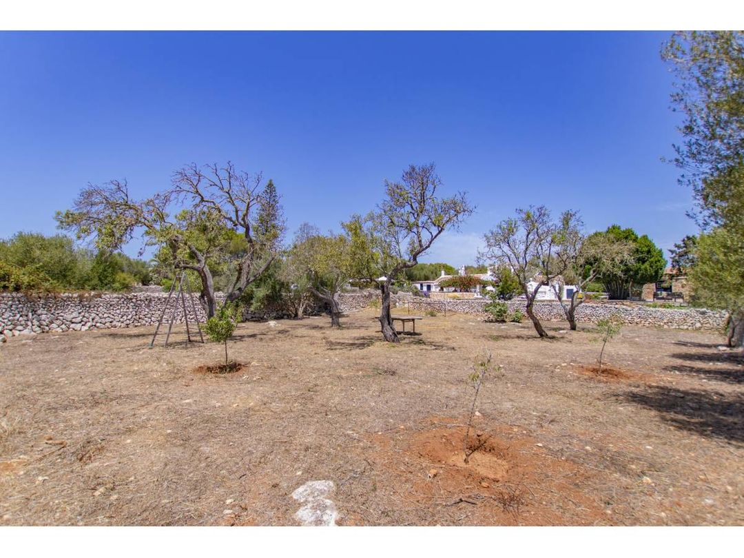 Property image 53