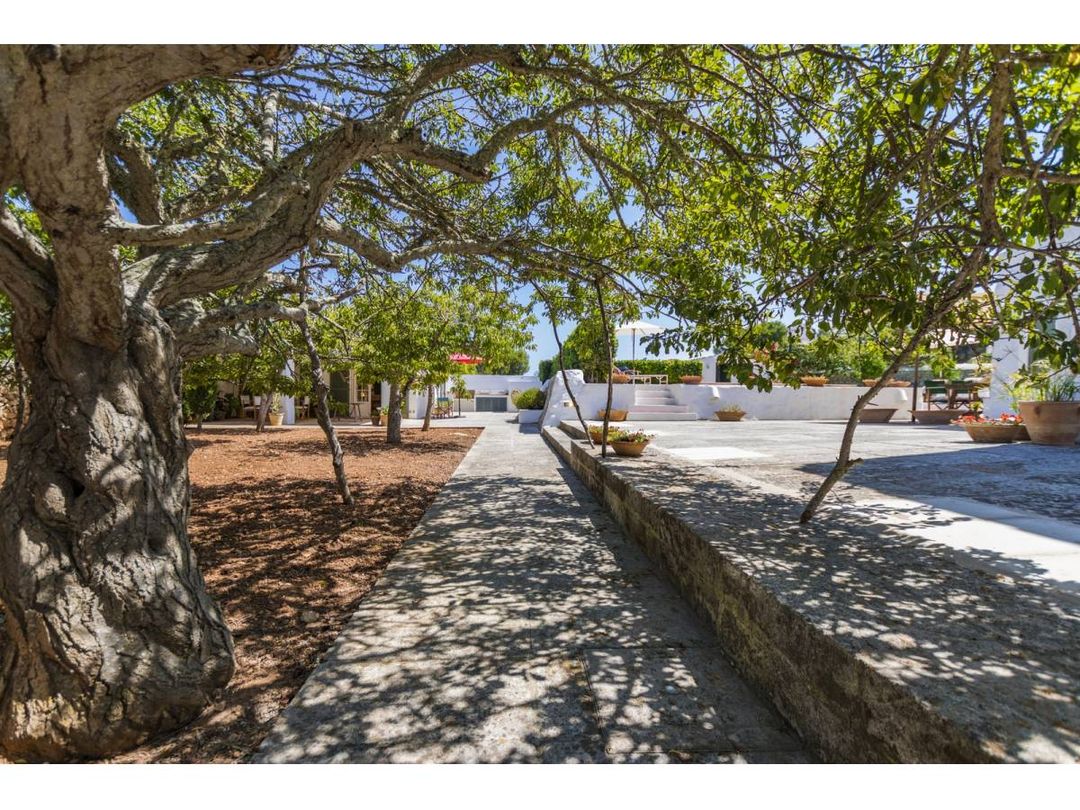 Property image 35