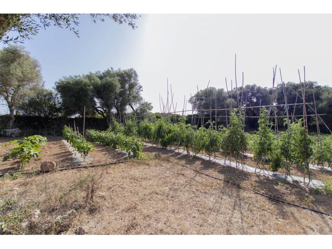 Property image 61