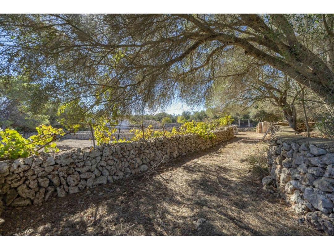Property image 56