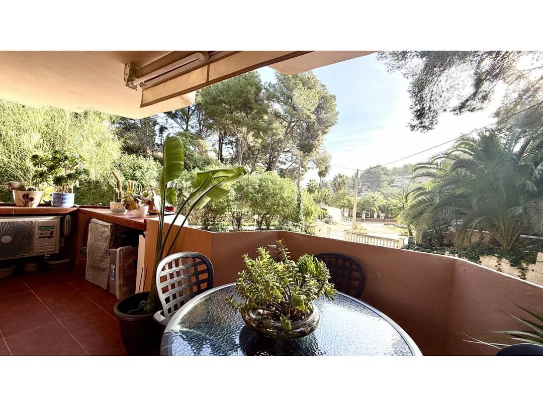1 bedroom Apartment in Cala Vinyas, Mallorca - Property BM46111