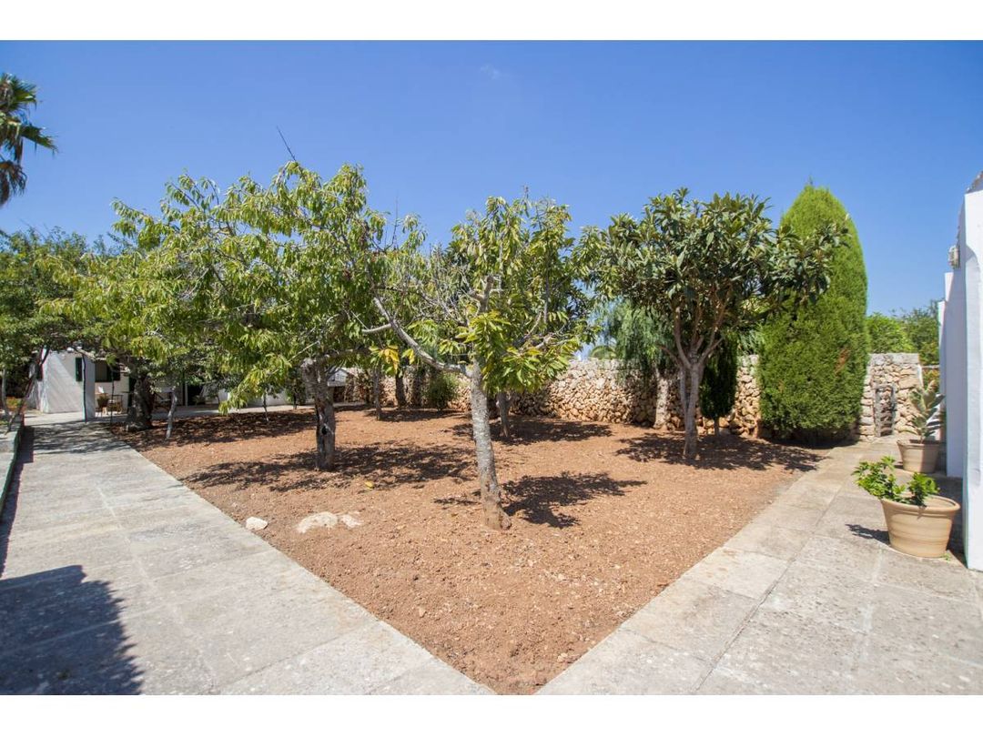 Property image 36
