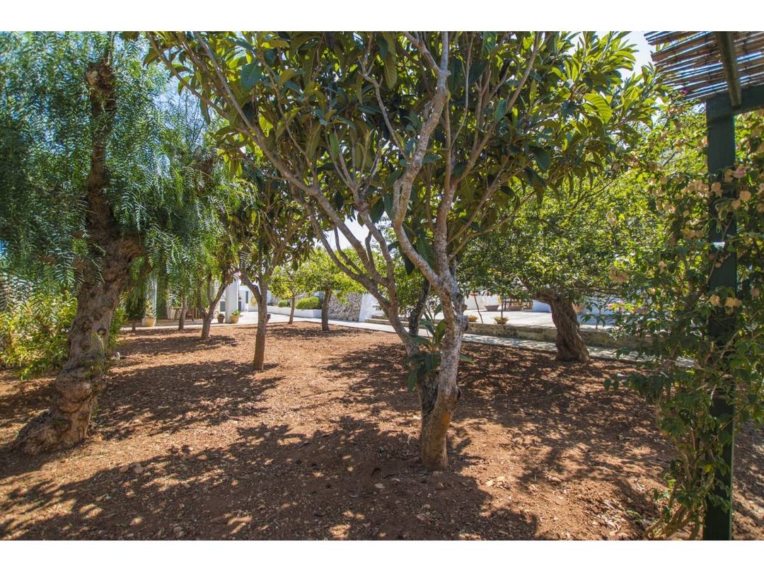 Property image 31