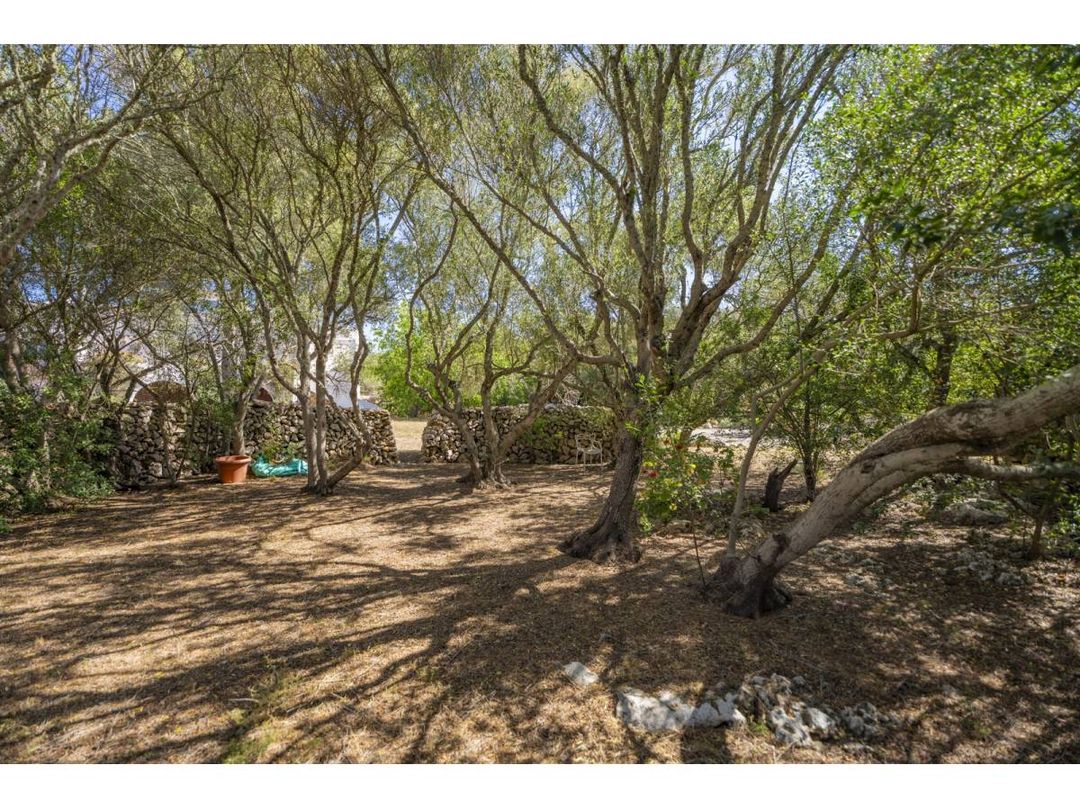 Property image 49