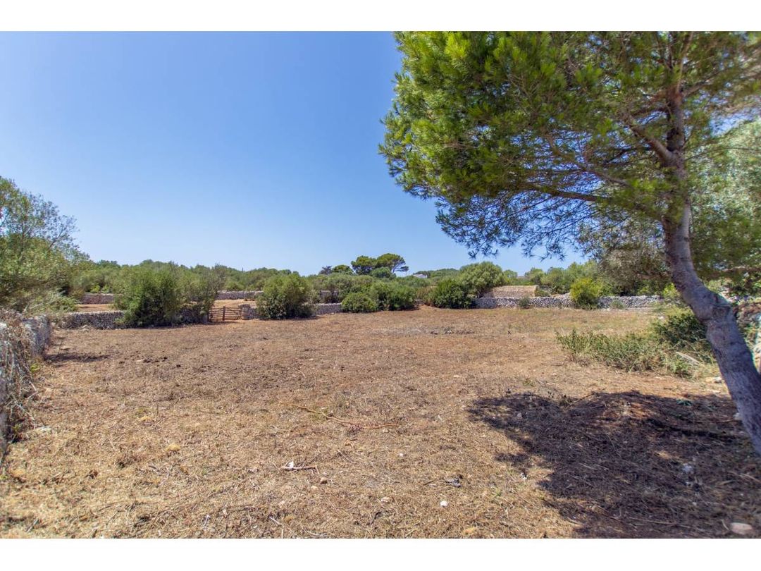 Property image 54