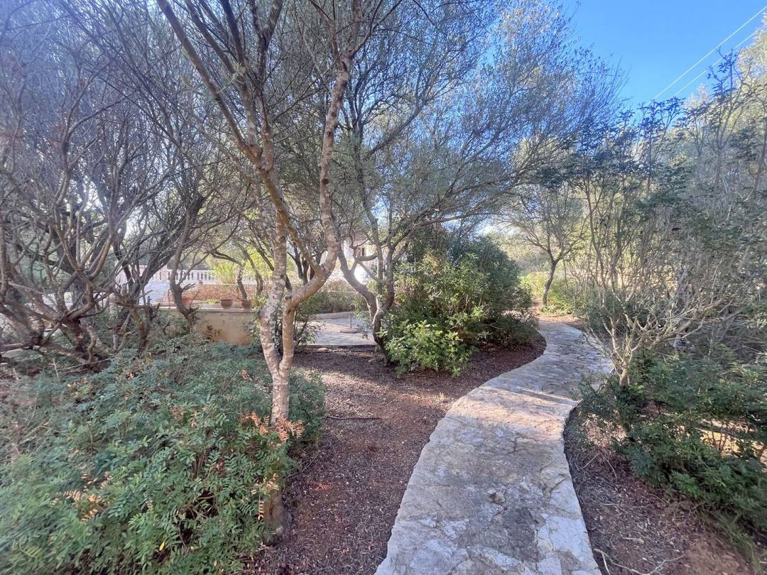 Property image 22