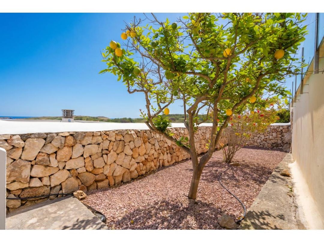 Property image 64