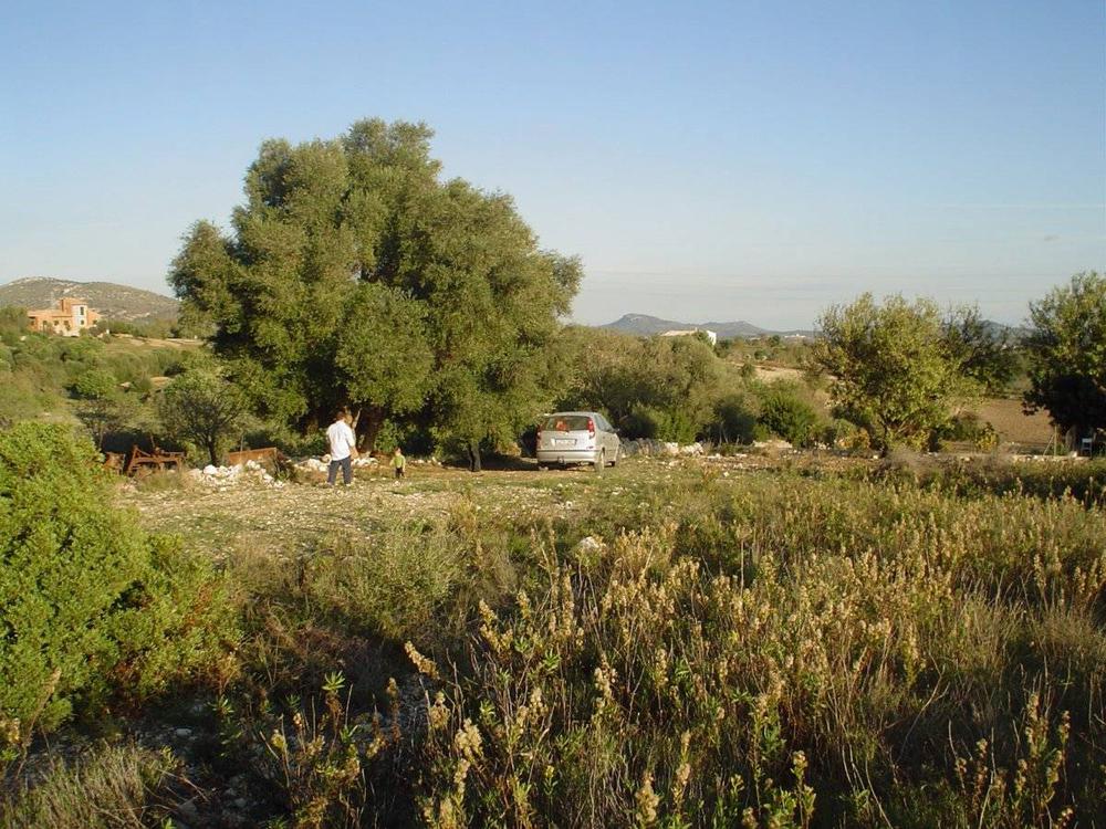 0 bedroom Land in Sant Llorenc, Mallorca - Property BM973
