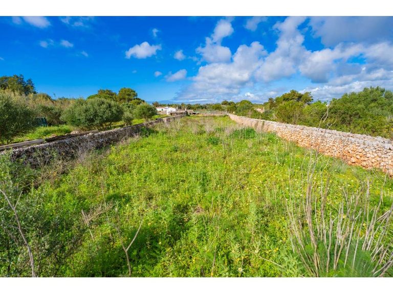 Property thumbnail 11