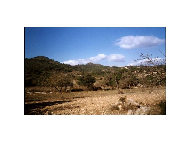 0 bedroom Land in Son Servera, Mallorca - Property BM272