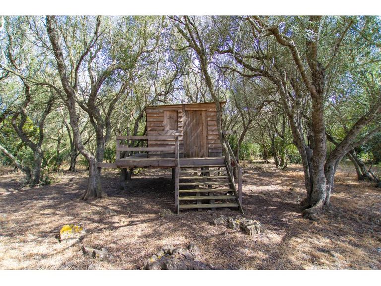 Property thumbnail 42