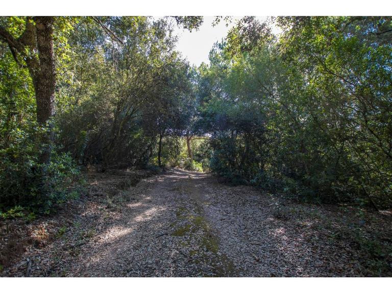 Property thumbnail 34