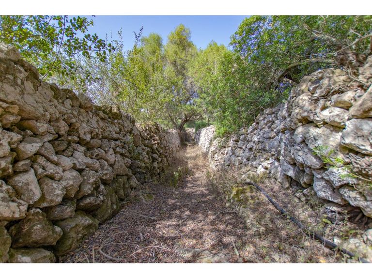 Property thumbnail 50