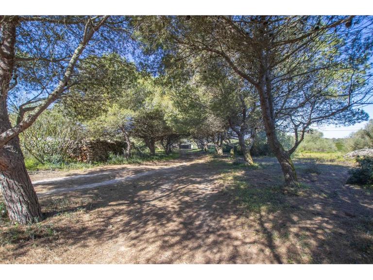 Property thumbnail 27