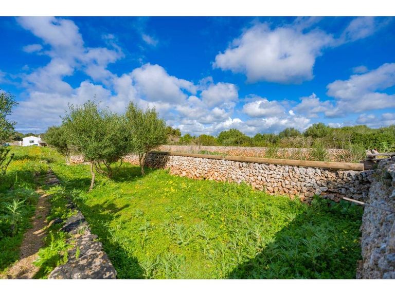 Property thumbnail 10