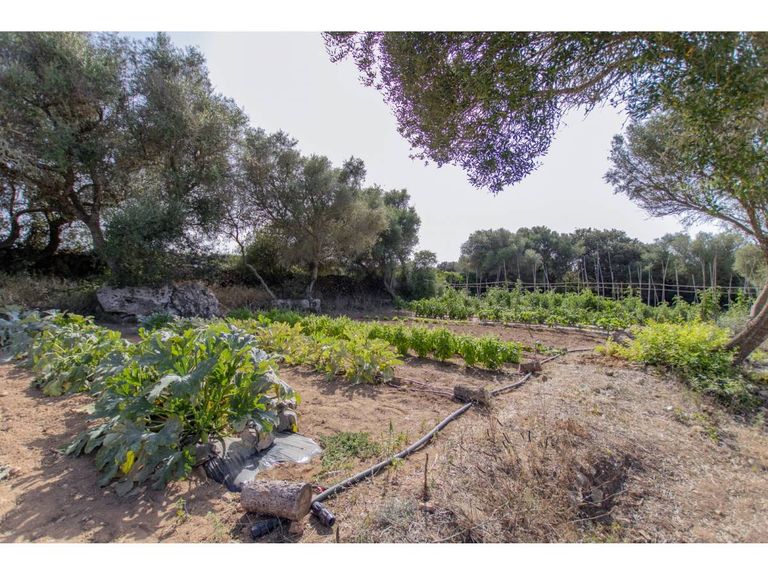 Property thumbnail 60