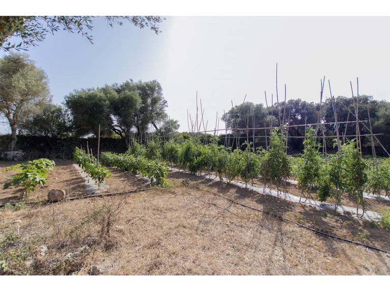 Property thumbnail 61