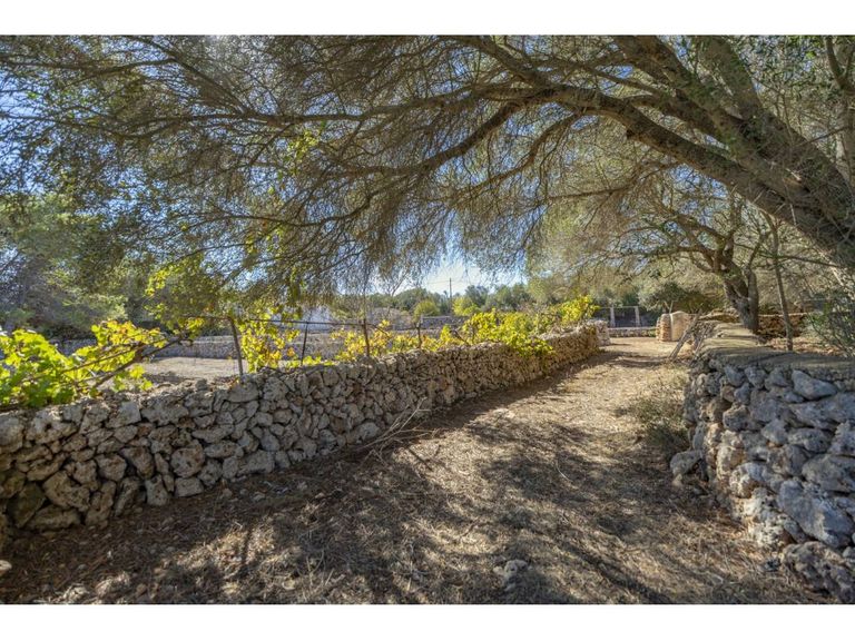 Property thumbnail 56