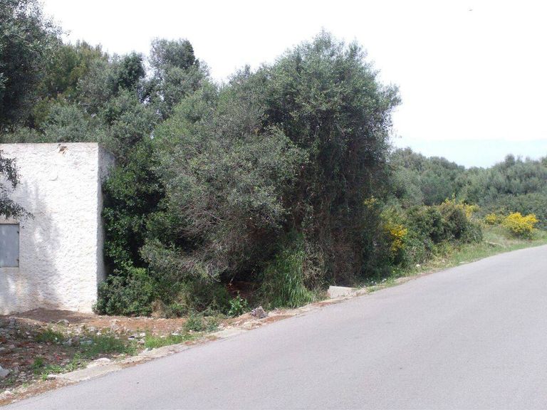 Property thumbnail 9