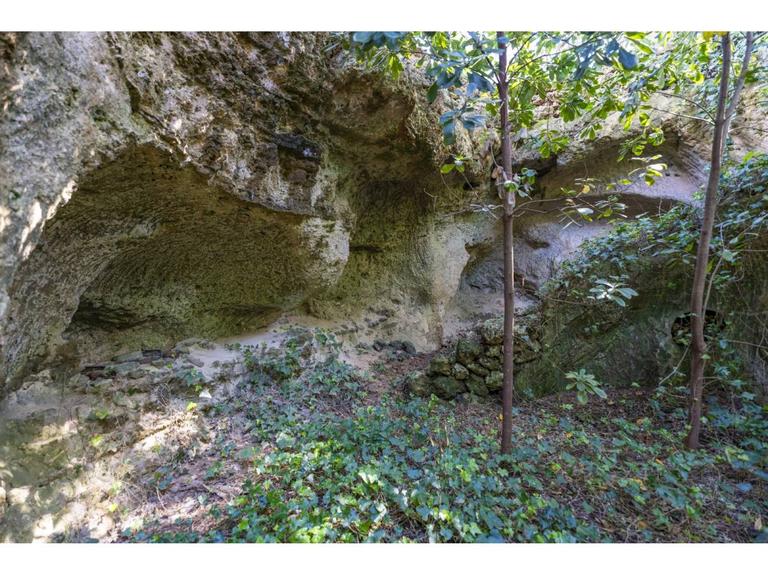 Property thumbnail 36