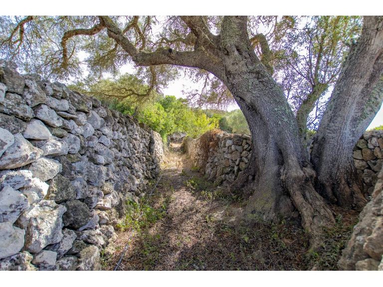 Property thumbnail 51