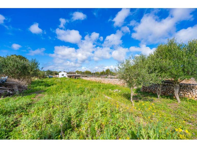 Property thumbnail 14