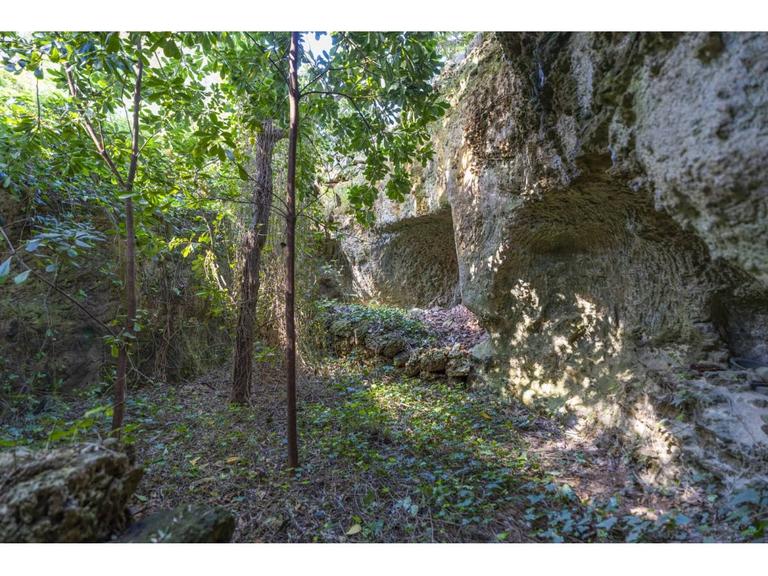 Property thumbnail 35