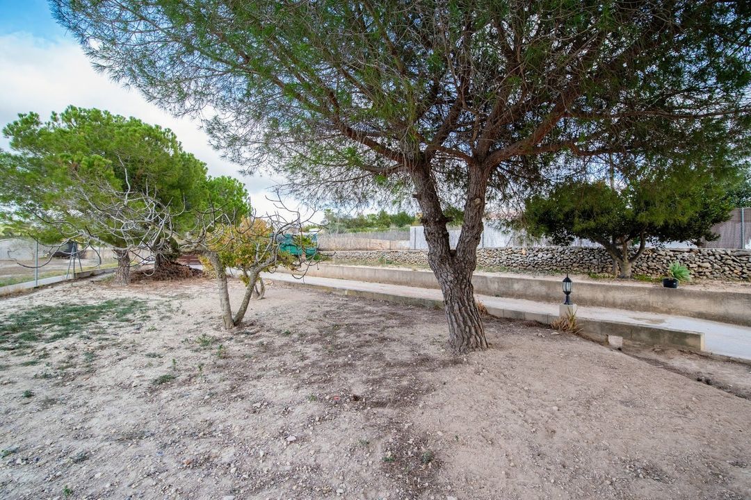 Property image 42