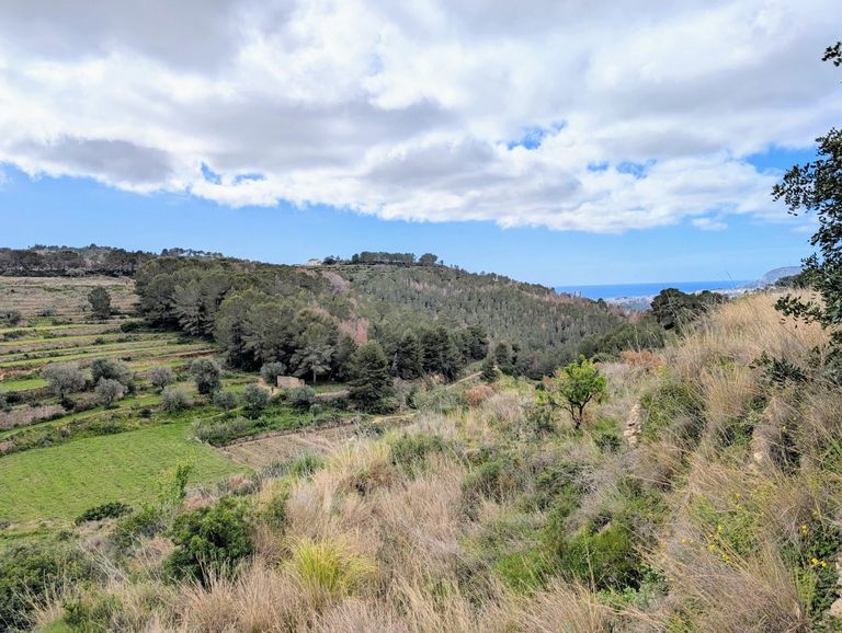 Property thumbnail 8