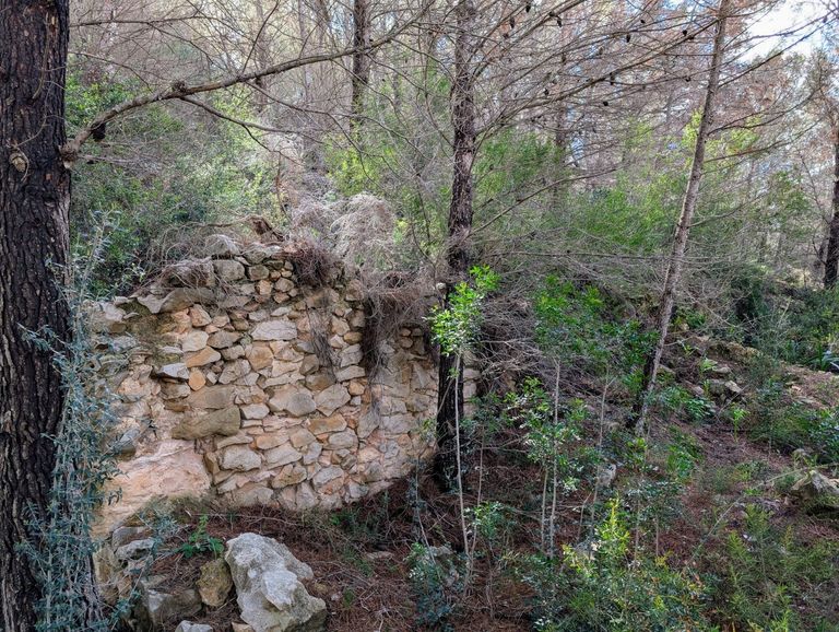 Property thumbnail 19
