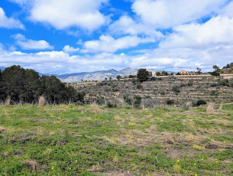 Property thumbnail 23