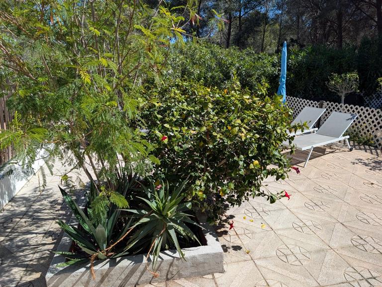 Property thumbnail 26