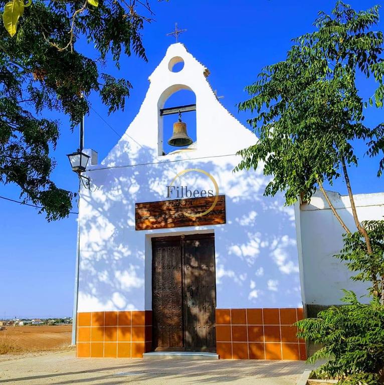 Property thumbnail 13