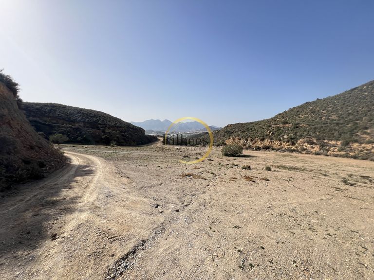Property thumbnail 6