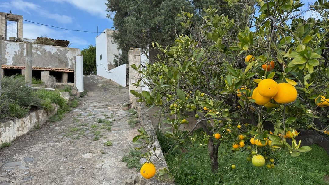 Property image 49