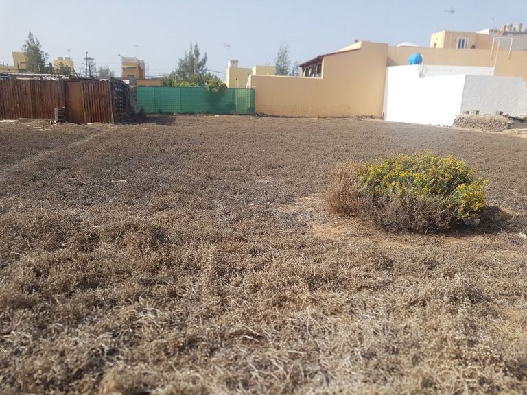 0 bedroom Land in , Gran Canaria - Property HGC3264