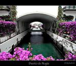 Property thumbnail 20