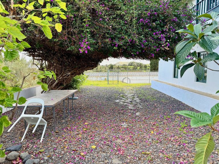 Property thumbnail 31