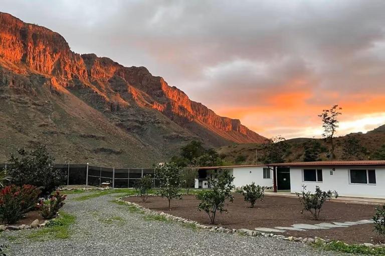 5 bedroom Land in San Bartoloma(c) Interior, Gran Canaria - Property HGC0272