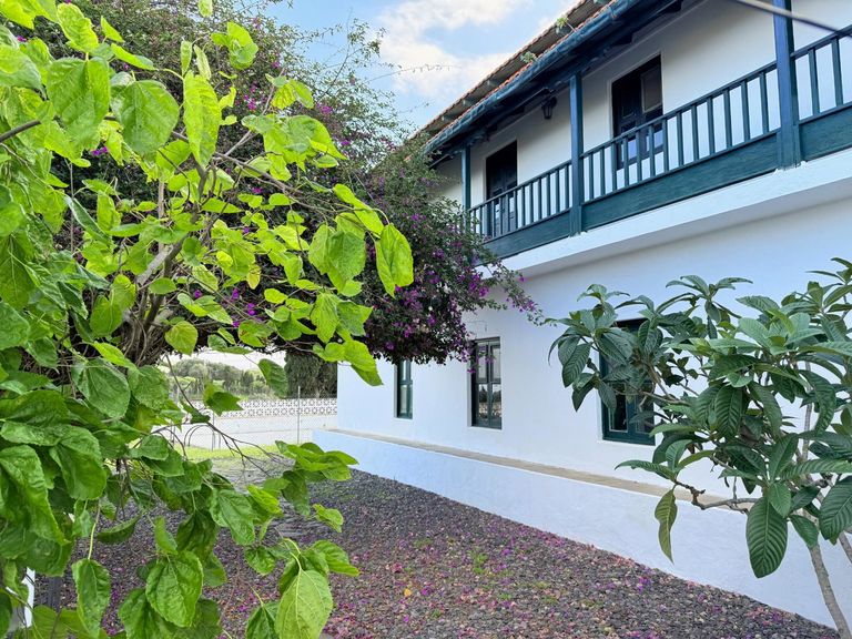 Property thumbnail 21