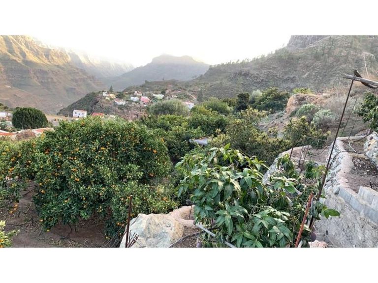 0 bedroom Finca / Rural house in , Gran Canaria - Property HGC1951BK