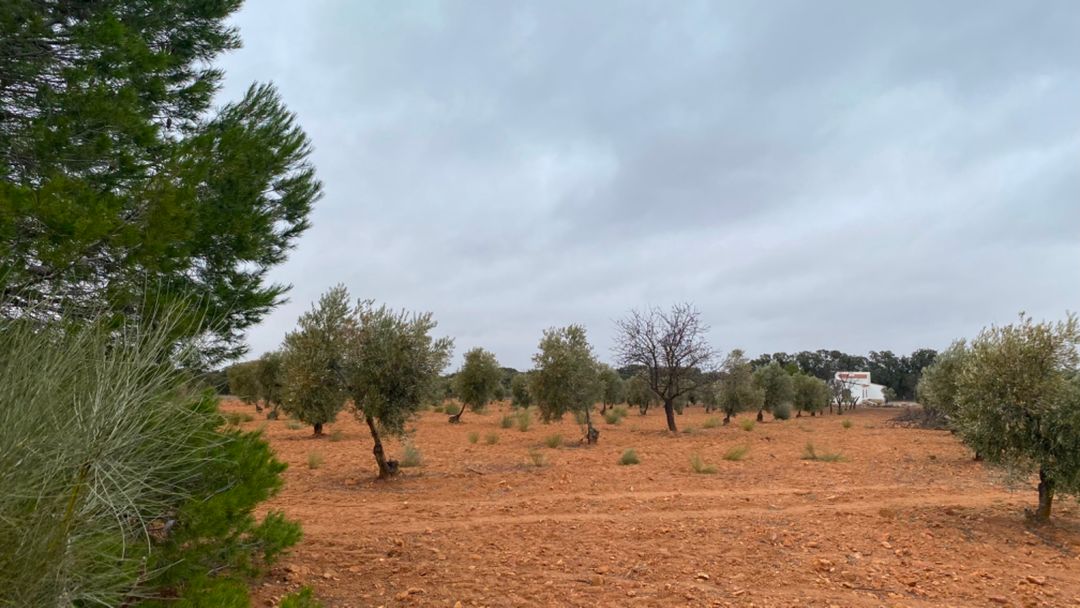 Property image 36
