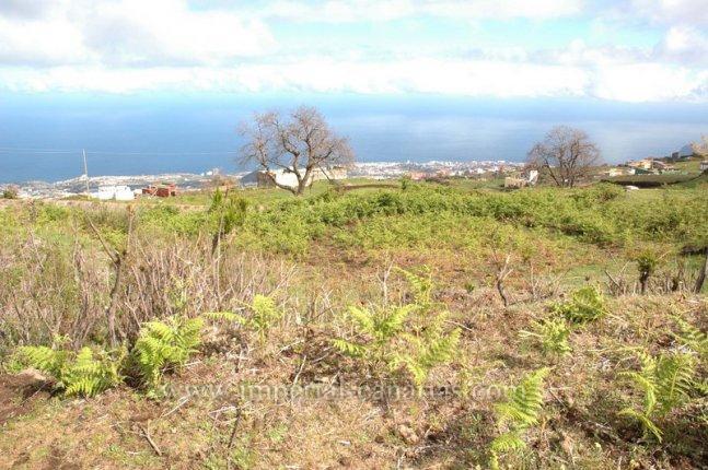 0 bedroom Land in La Orotava, Tenerife - Property IT9146