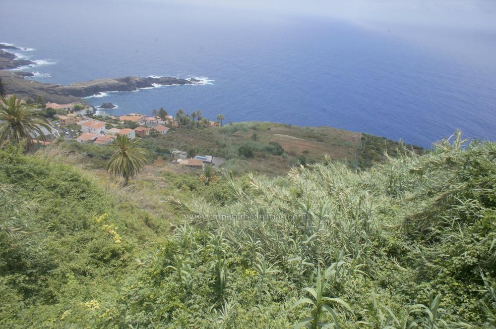 0 bedroom Finca / Rural house in El Sauzal, Tenerife - Property IT10709