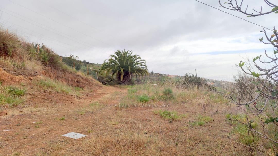 0 bedroom Land in Santa Ursula, Tenerife - Property IT11480