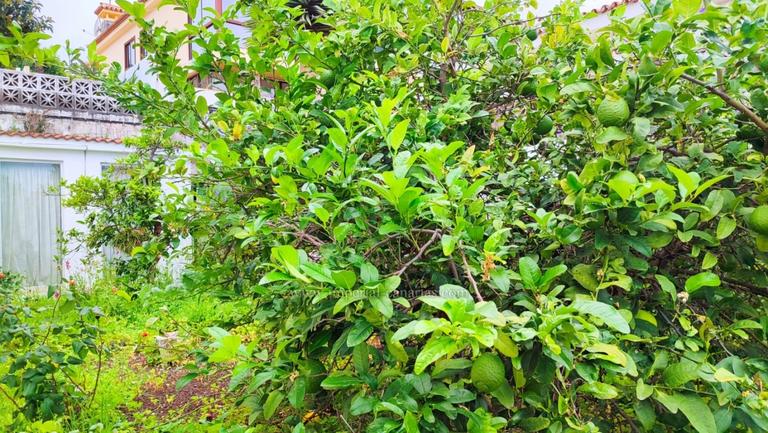 Property thumbnail 25