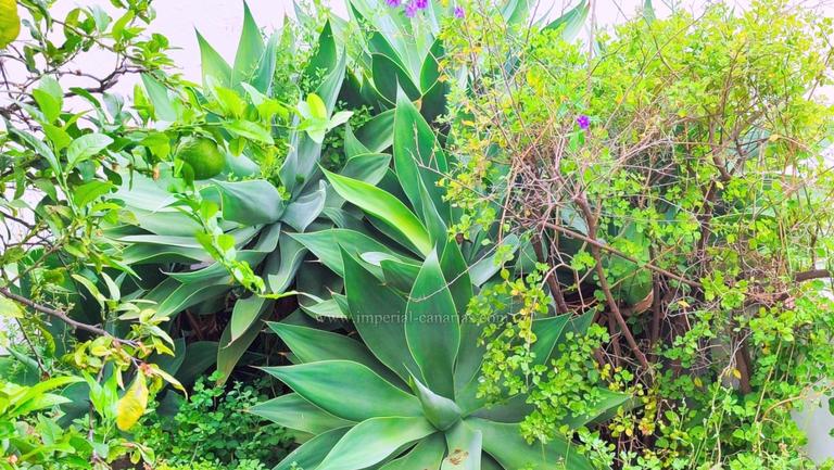 Property thumbnail 24