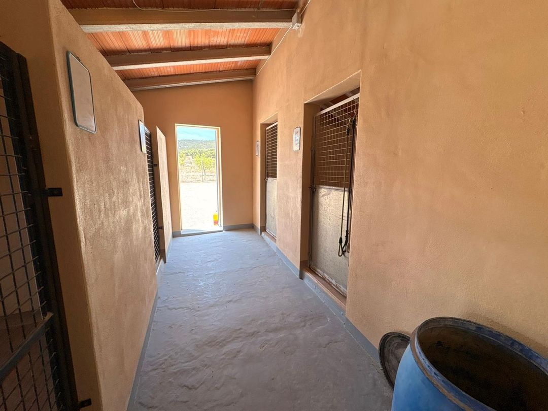 Property image 50
