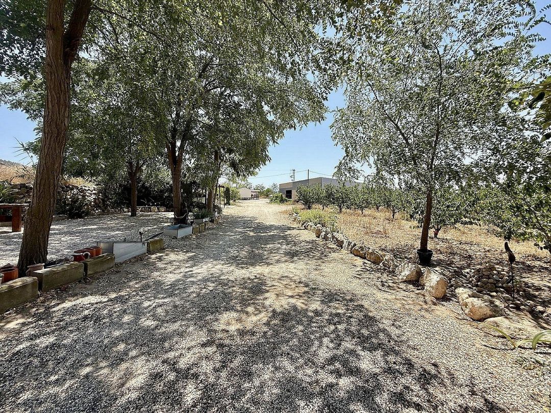Property image 10